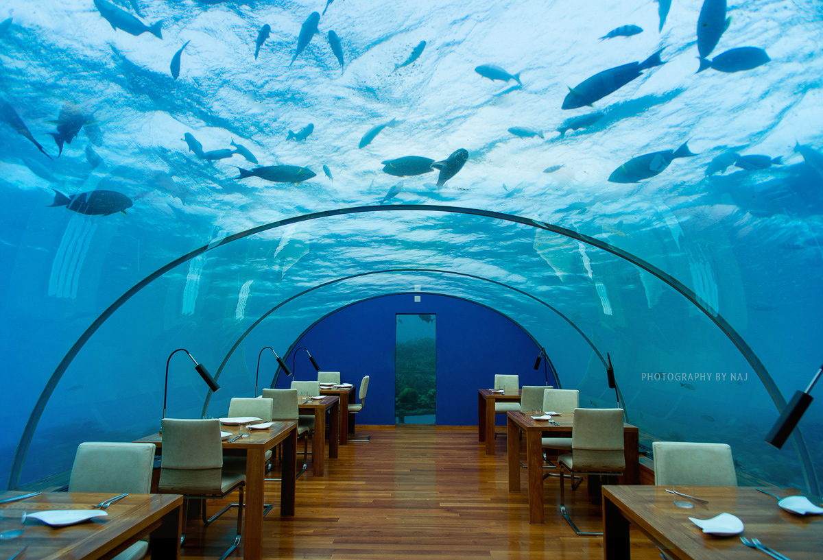 'Ithaa' Worlds first Underwater Restaurant 