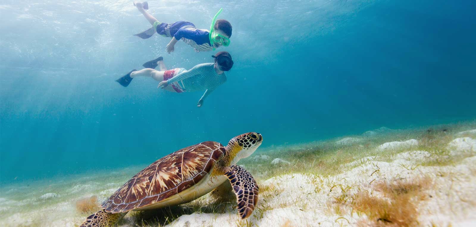 Snorkeling, World Environment and World Oceans Day, Kuredu